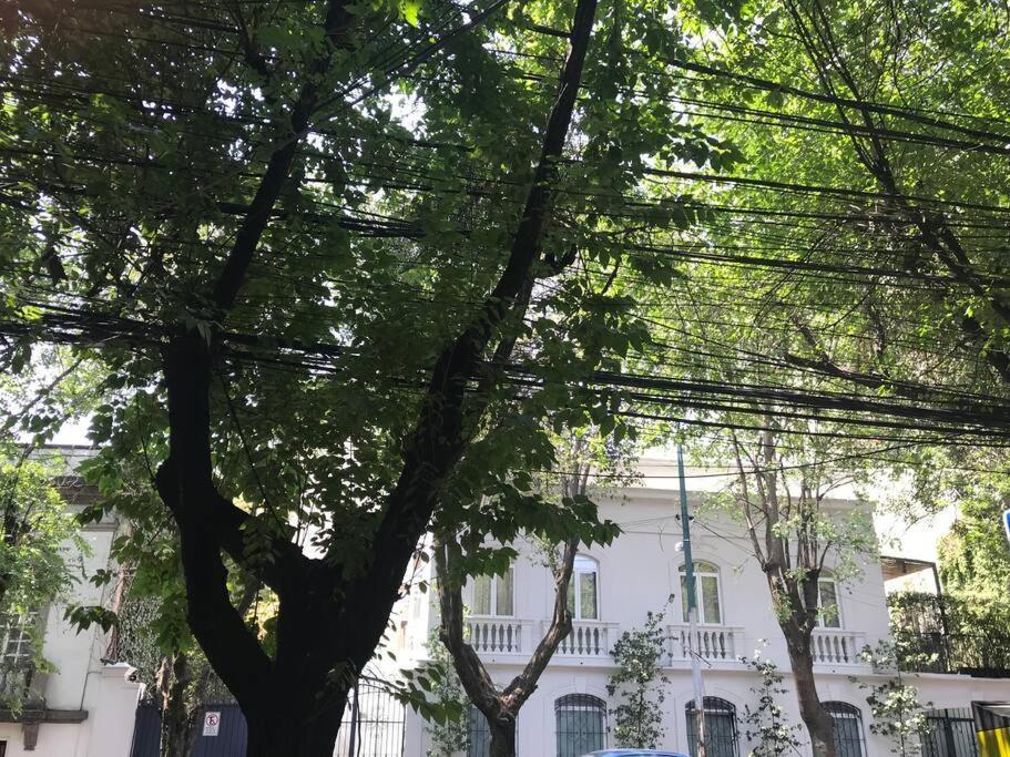 Апартаменти Excellent Location Renovated Apt. Roma/Condesa 1 Мехіко Екстер'єр фото